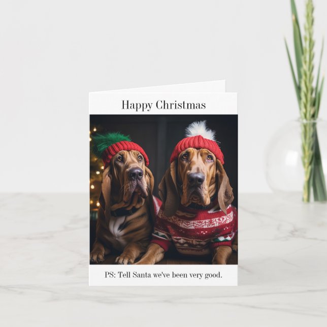 Cartão de Natal para Cães Sanguíneos (Frente)