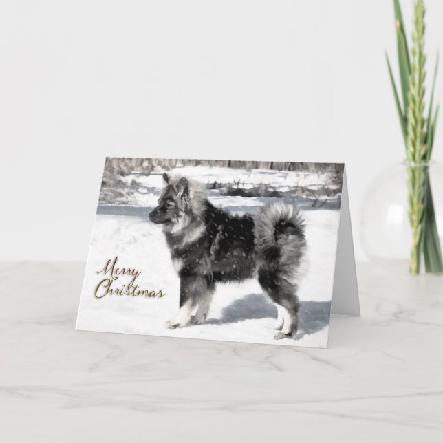 Cartão de Natal para Lapphund Finlandês (Frente)