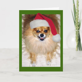 Cartão de Natal para Papais noeis Incorretos