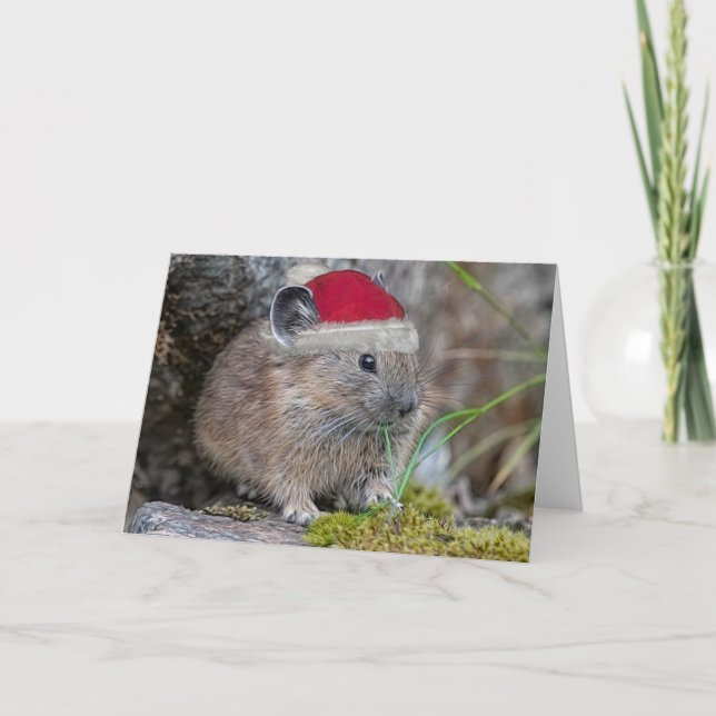 Cartão de Natal Pika (Frente)