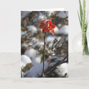 Cartão de Natal "Prairie Blossom"