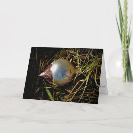 Cartão de Natal "Prairie Cheer"