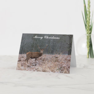 Cartão de Natal Red Deer