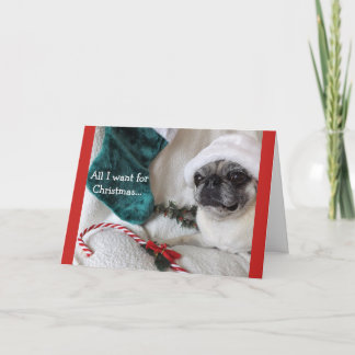 Cartão de Natal romântico do Pug