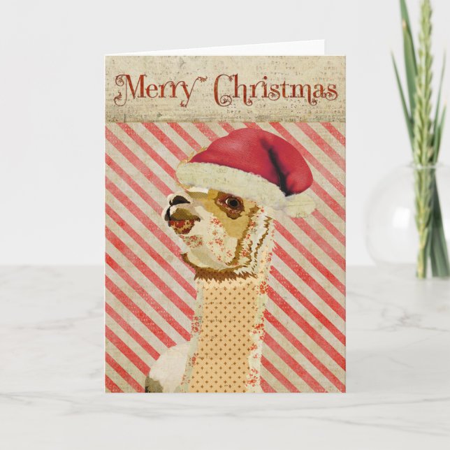 Cartão de Natal rosa Alpaca (Frente)