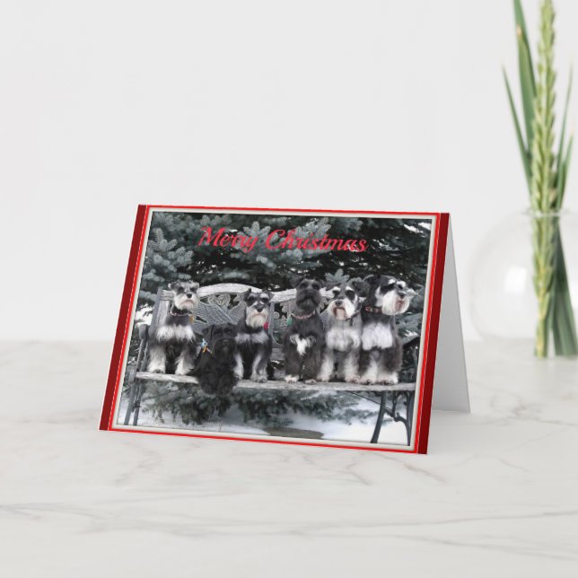 Cartão de Natal Schnauzer (Frente)