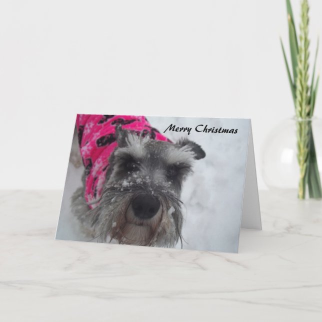 Cartão de Natal Schnauzer (Frente)