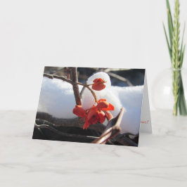 Cartão de Natal "Serenidade da Hibernação"