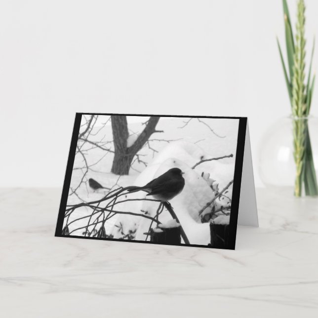 Cartão de Natal sereno do Snowbird (Frente)