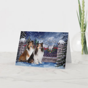Cartão de Natal Sheltie