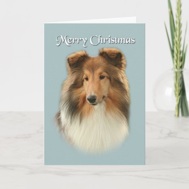 Cartão de Natal Sheltie (Frente)