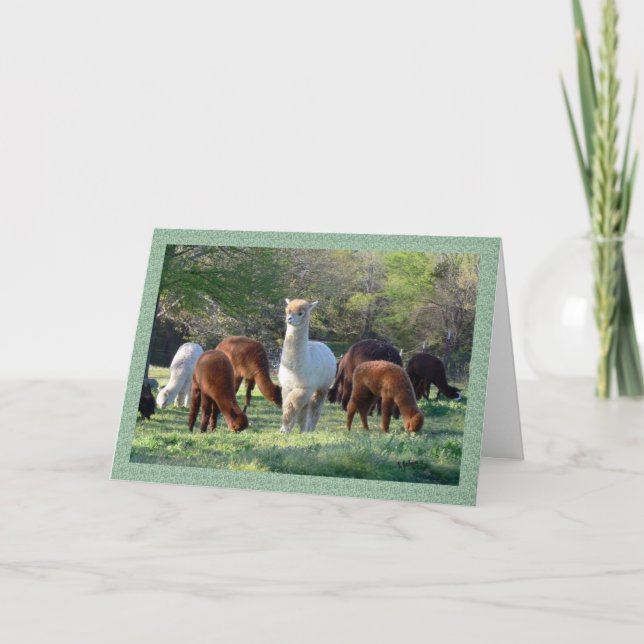 Cartão de Natal Sleigh Belle (Frente)