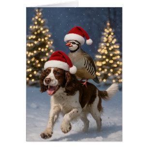 Cartão de Natal Springer Spaniel e Perdiz