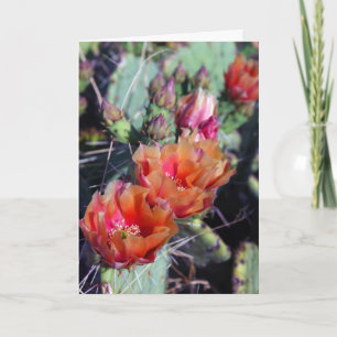 Cartão de Natal Sudoeste