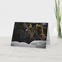 Cartão de Natal "Unseen Minnesnowta"