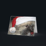 Cartão de Natal vermelho do Keeshond do nariz<br><div class="desc">" Kesshond com seu nariz tão brilhante não você guia meu cartão do trenó hoje à noite.</div>
