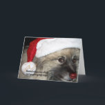 Cartão de Natal vermelho do Keeshond do nariz<br><div class="desc">" Kesshond com seu nariz tão brilhante não você guia meu cartão do trenó hoje à noite.</div>