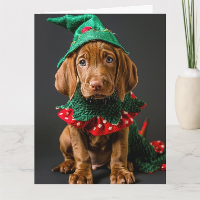 Cartão de Natal Vizla Elf Húngaro (Frente)