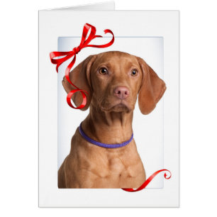 Cartão de Natal Vizsla