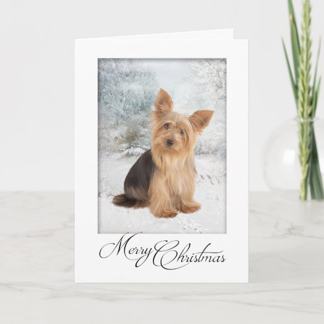 Cartão de Natal Yorkie (Frente)