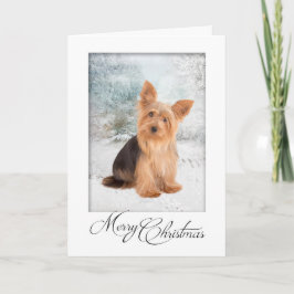 Cartão de Natal Yorkie
