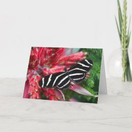 Cartão de Natal Zebra Longwing