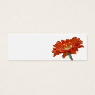 Cartão de nome do local do casamento - Gerbera da