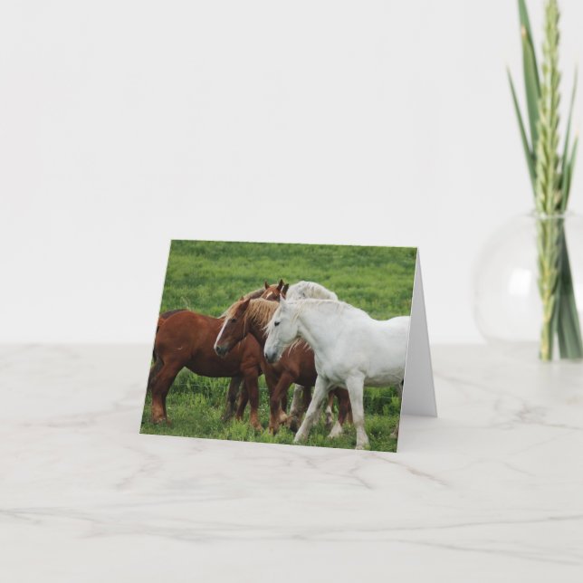 Cartão de nota (Frente)