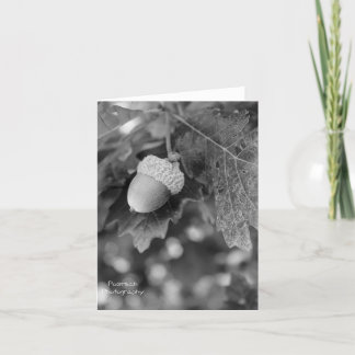 Cartão de Nota Acorn