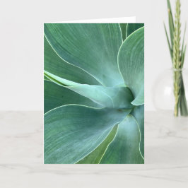 Cartão de Nota Agave em Branco