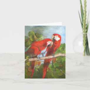 Cartão de Nota - Aves Tropicais