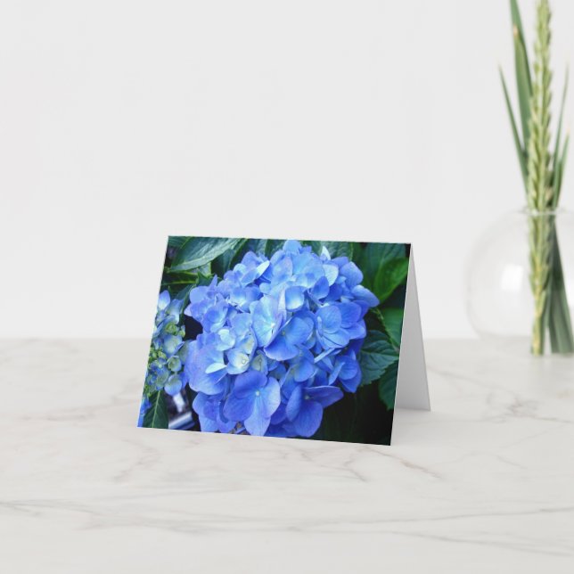 Cartão de Nota Azul Hydrangea (Frente)