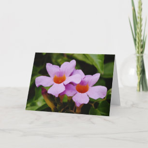 Cartão de Nota Bonito de Flores de Mandevilla Ros