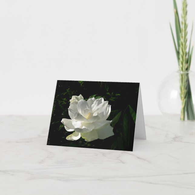 Cartão de nota branco da flor do Gardenia (Frente)