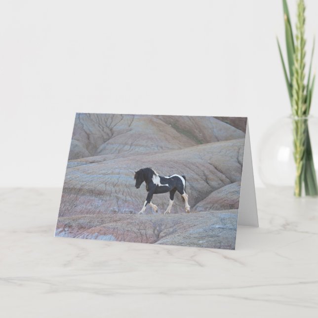 Cartão de Nota "Candyland" (Frente)