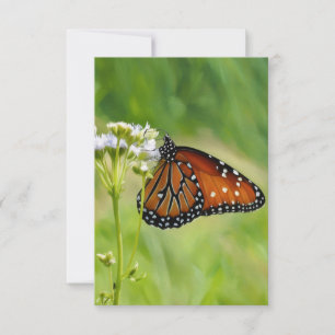 Cartão de Nota Chata de Arte da Rainha Borboleta