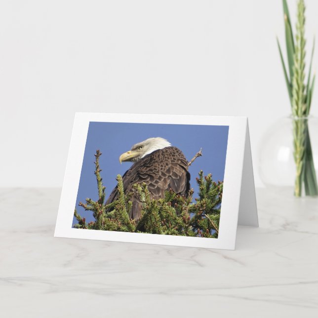 Cartão de Nota Climática Natureza (Frente)