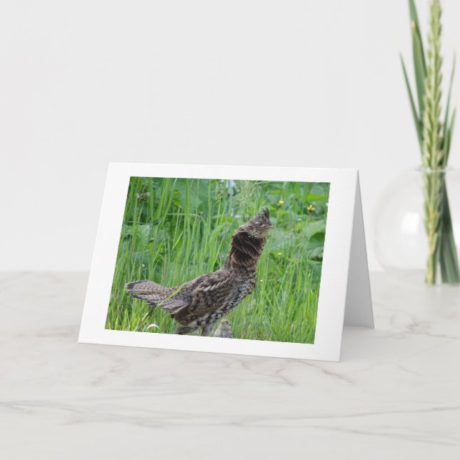 Cartão de Nota Climática Natureza (Frente)