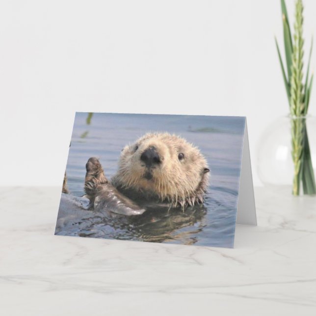 Cartão de Nota Climática Natureza (Frente)