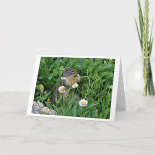 Cartão de Nota Climática Natureza