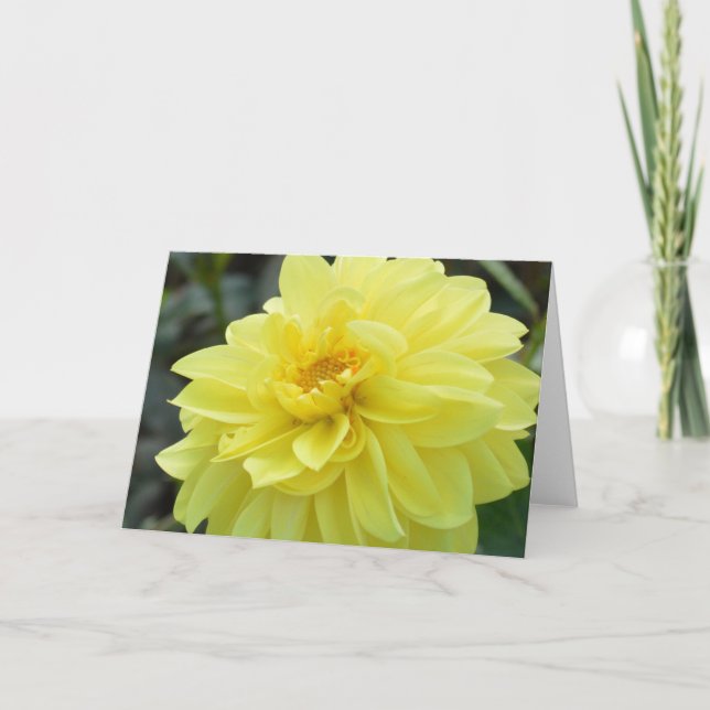 Cartão de nota com dália amarela (Frente)