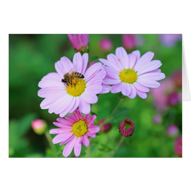 Cartão de Nota com Foto de Abelha em Flor Roxa em  (Frente horizontal)