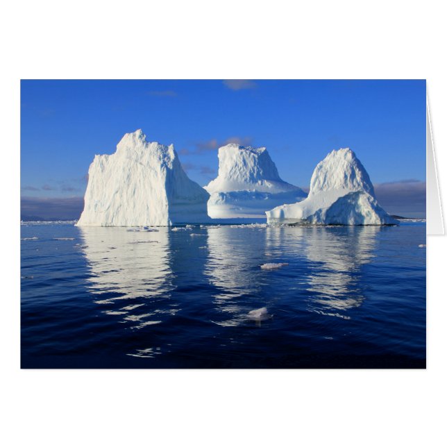 Cartão de Nota com Foto em Branco e Azul de Iceber (Frente horizontal)