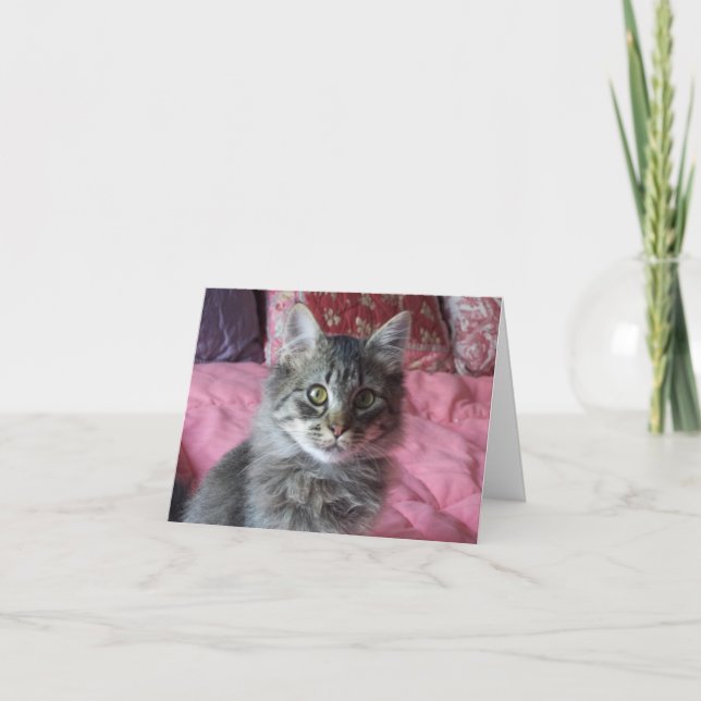 Cartão de Nota com fotografia de gatinho (Frente)