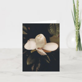 Cartão de Nota com Magnolia Blossom