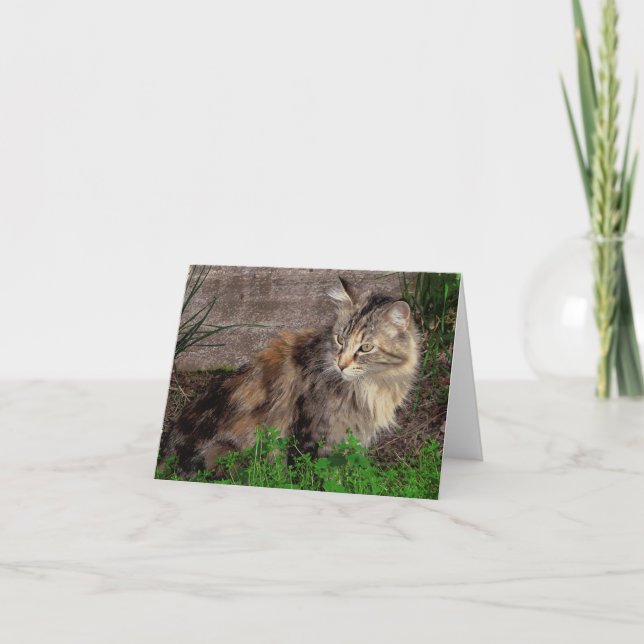 Cartão de Nota com Retrato de Gato Feral (Frente)