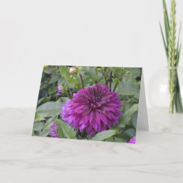 Cartão de nota com uma dália roxa num jardim