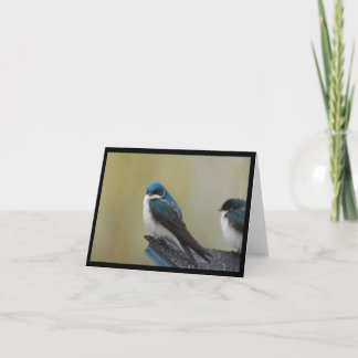 Cartão de nota da andorinha de árvore (vazio)