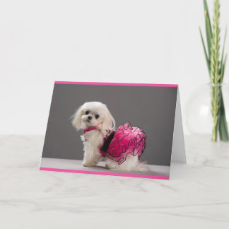 Cartão de nota da Ava