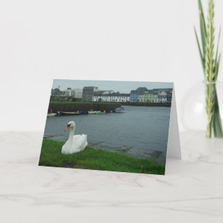 Cartão de nota da cisne de Galway